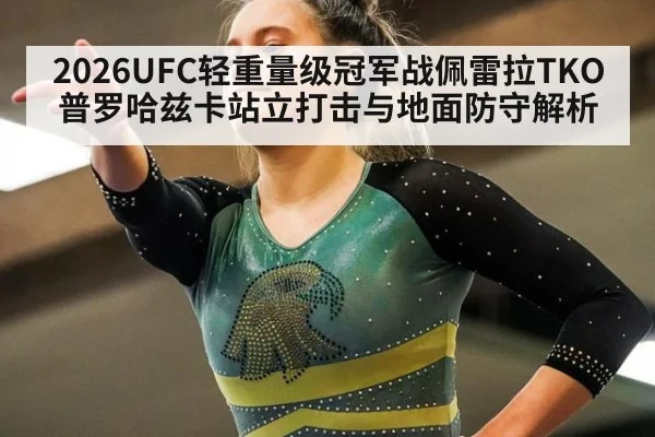 2026UFC轻重量级冠军战佩雷拉TKO普罗哈兹卡站立打击与地面防守解析